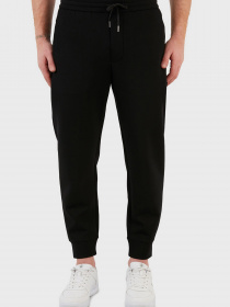 Брюки Emporio Armani модель 3L1PFS-1JHSZ-0999 Фото