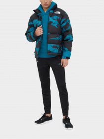 Худи и свитшоты The North Face модель NF0A2ZWU2W91 Фото