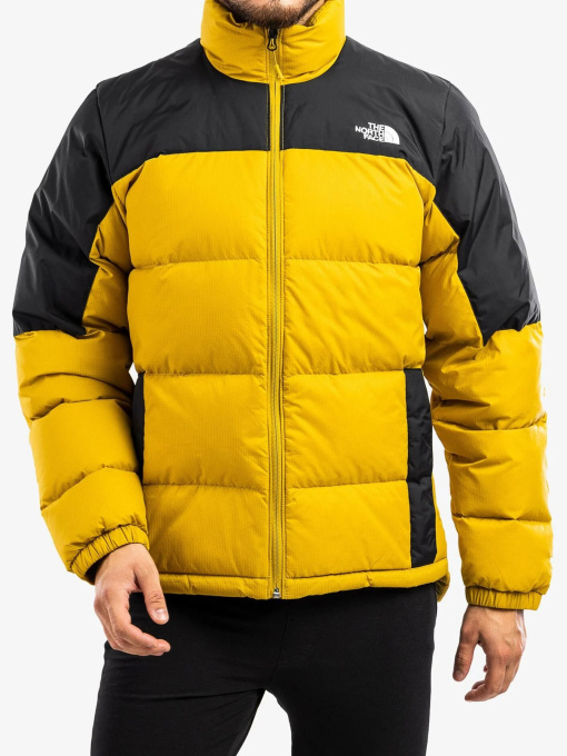 Куртки и дубленки The North Face модель NF0A4M9J81U1 Фото