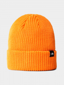 Шапки и кепки The North Face модель NF0A55JG78M1 Фото