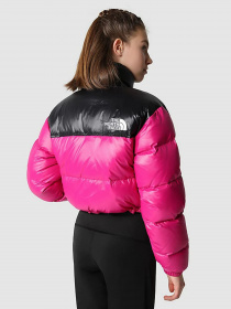Куртки и дубленки The North Face модель NF0A5GGE1461 Фото