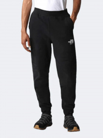 Брюки The North Face модель NF0A7X2JJK31 Фото