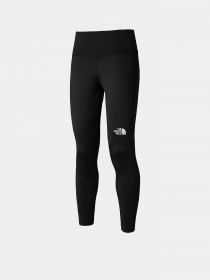 Брюки The North Face модель NF0A7ZB8JK31 Фото