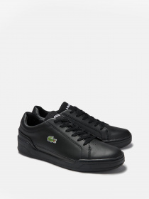 Кеды Lacoste модель 740SMA0080-02H Фото