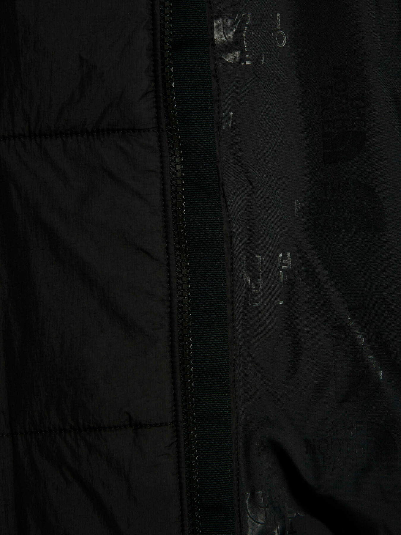 Куртки и дубленки The North Face модель NF0A491JJK31 Фото