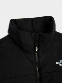 Куртки и дубленки The North Face модель NF0A491JJK31 Фото