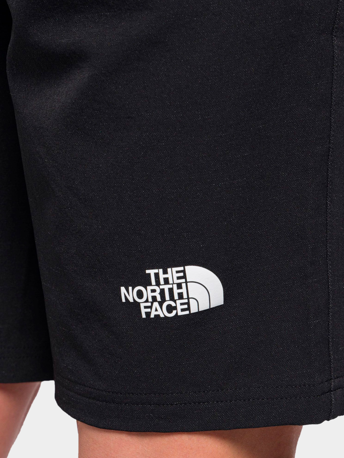 Шорты The North Face модель NF0A5IMMJK31 Фото