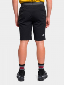 Шорты The North Face модель NF0A5IMMJK31 Фото