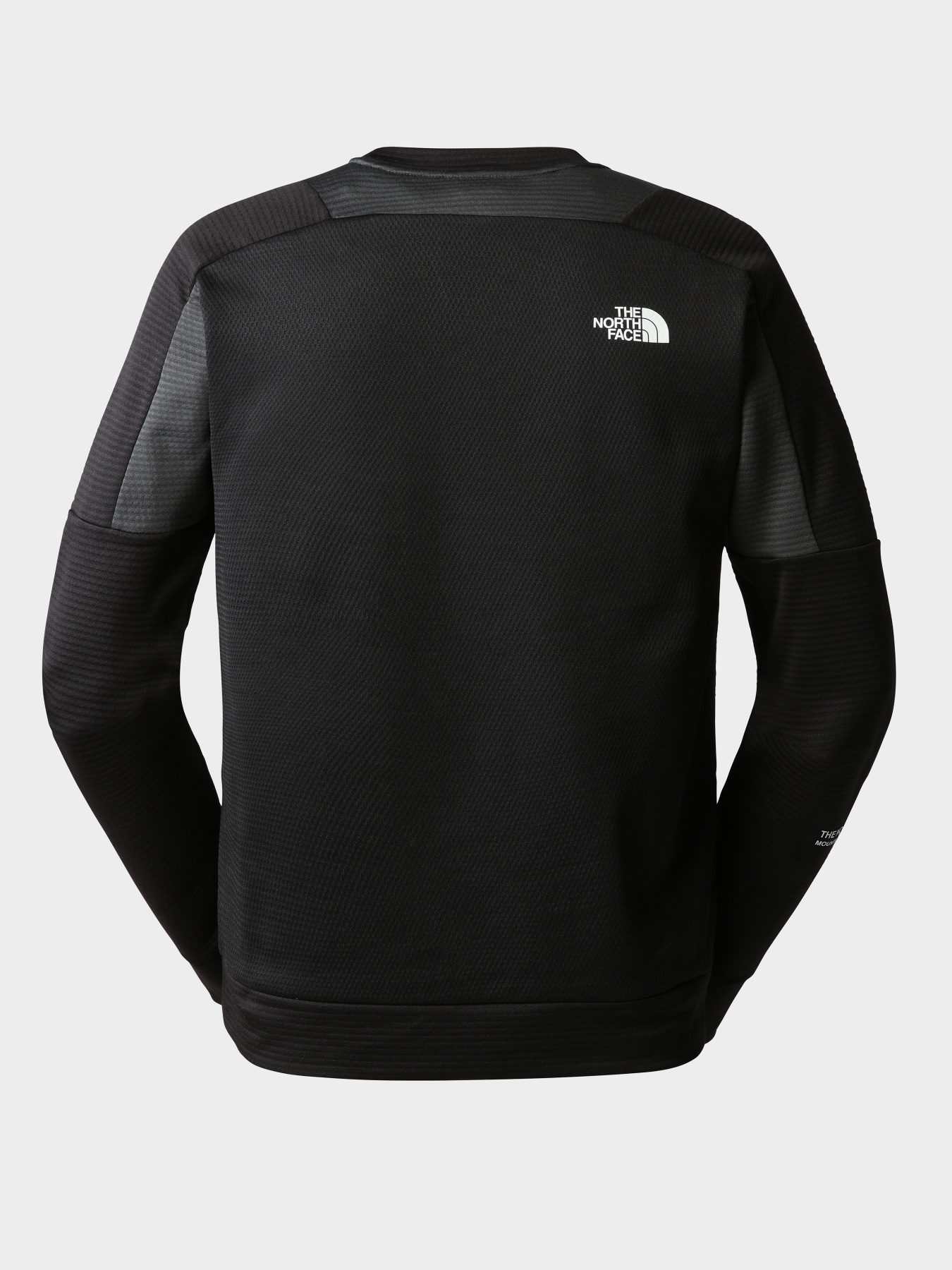 Худи и свитшоты The North Face модель NF0A8248KT01 Фото