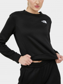 Худи и свитшоты The North Face модель NF0A824QJK31 Фото