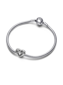 Классические PANDORA Moments модель 792493C01 Фото