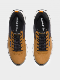 Кроссовки Timberland модель TB0A5TRV231 Фото