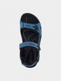 Сандалии ECCO модель 06956456923 Фото