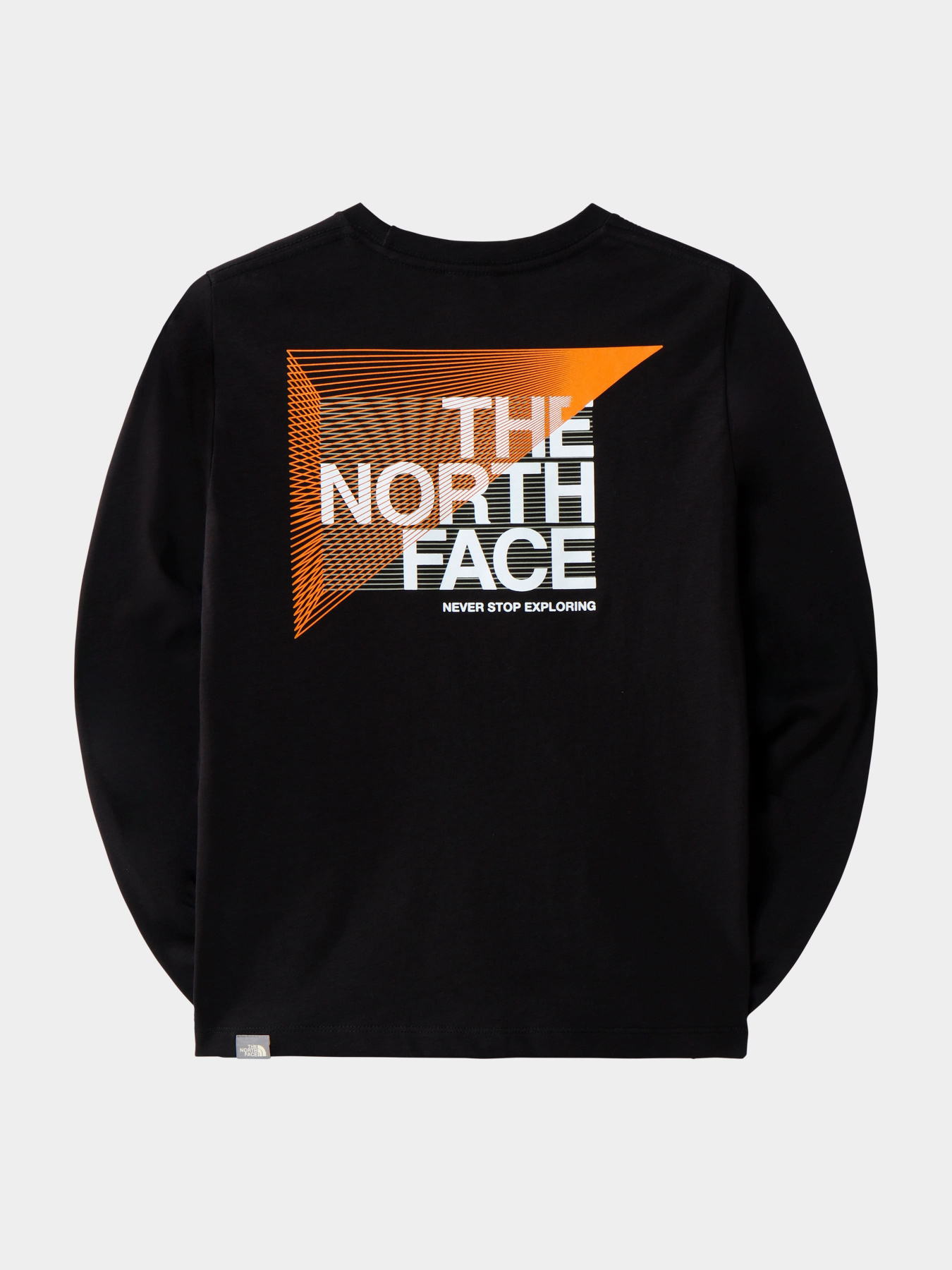 Худи и свитшоты The North Face модель NF0A7X5FJK31 Фото