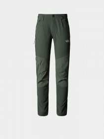 Брюки The North Face модель NF0A7Z8ANYC1 Фото