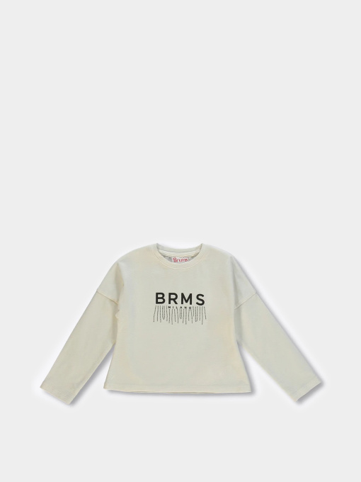Худи и свитшоты Brums/Mek модель 223BGFL004-900 Фото