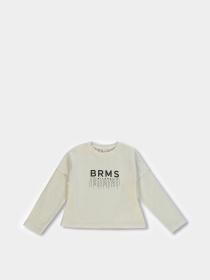 Худи и свитшоты Brums/Mek модель 223BGFL004-900 Фото