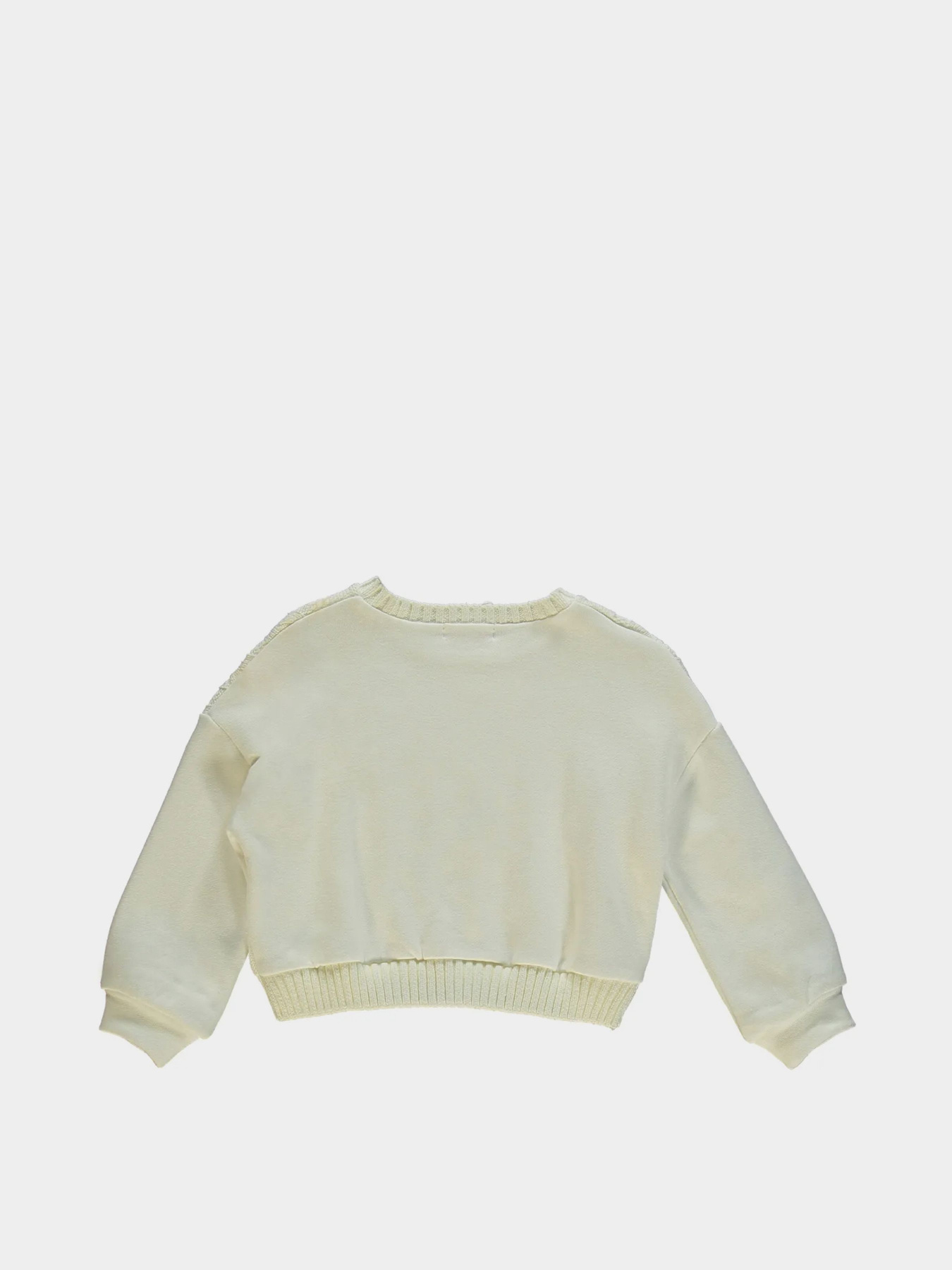 Худи и свитшоты Brums/Mek модель 223BGHC004-002 Фото