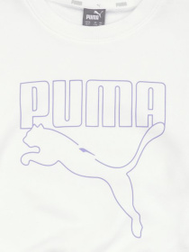 Худи и свитшоты PUMA модель 58615602 Фото