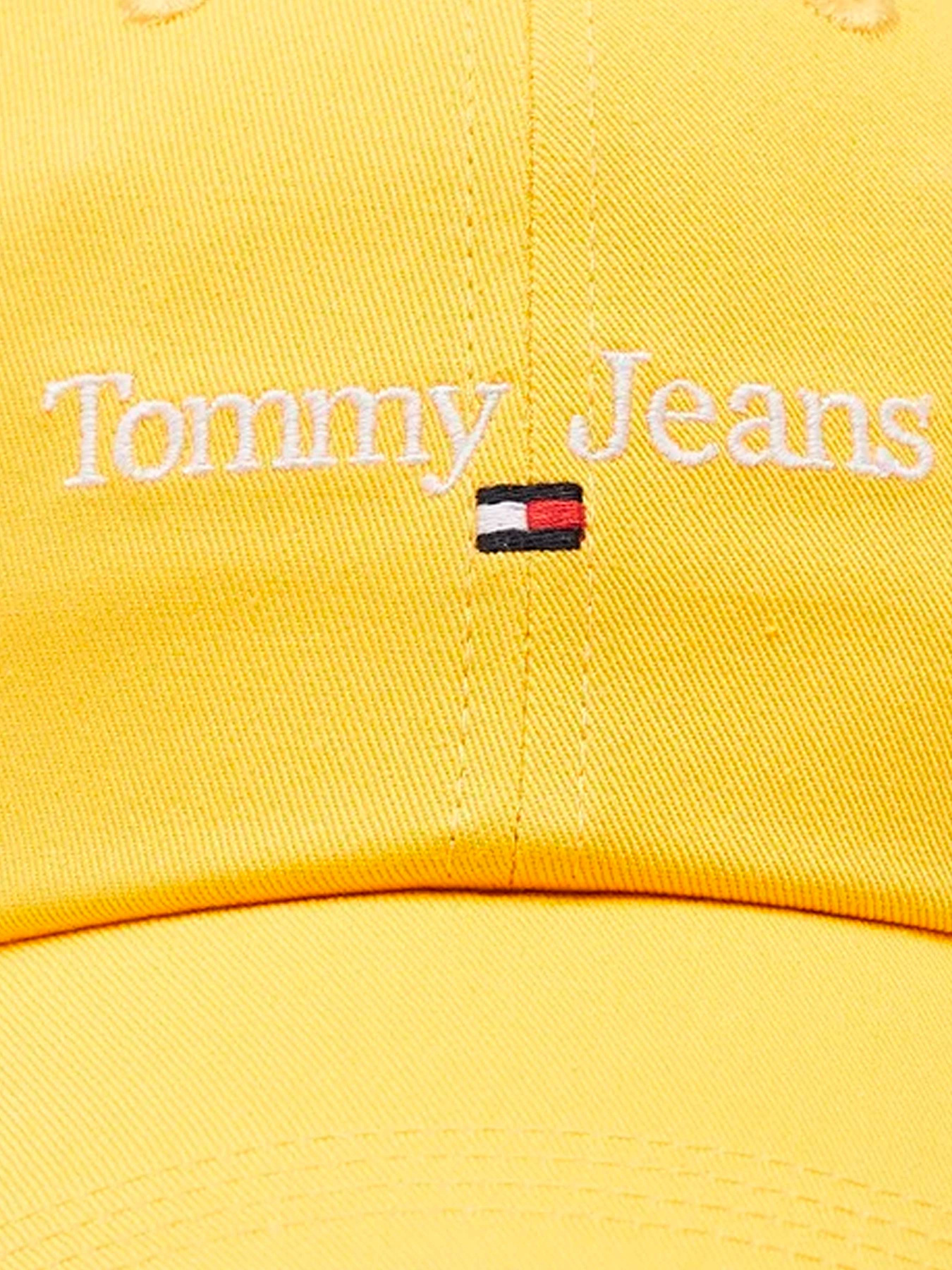 Шапки и кепки Tommy Hilfiger модель AM0AM09575-ZFM Фото