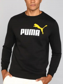 Худи и свитшоты PUMA модель 58676254 Фото