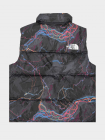 Куртки и дубленки The North Face модель NF0A3JQQIRI1 Фото