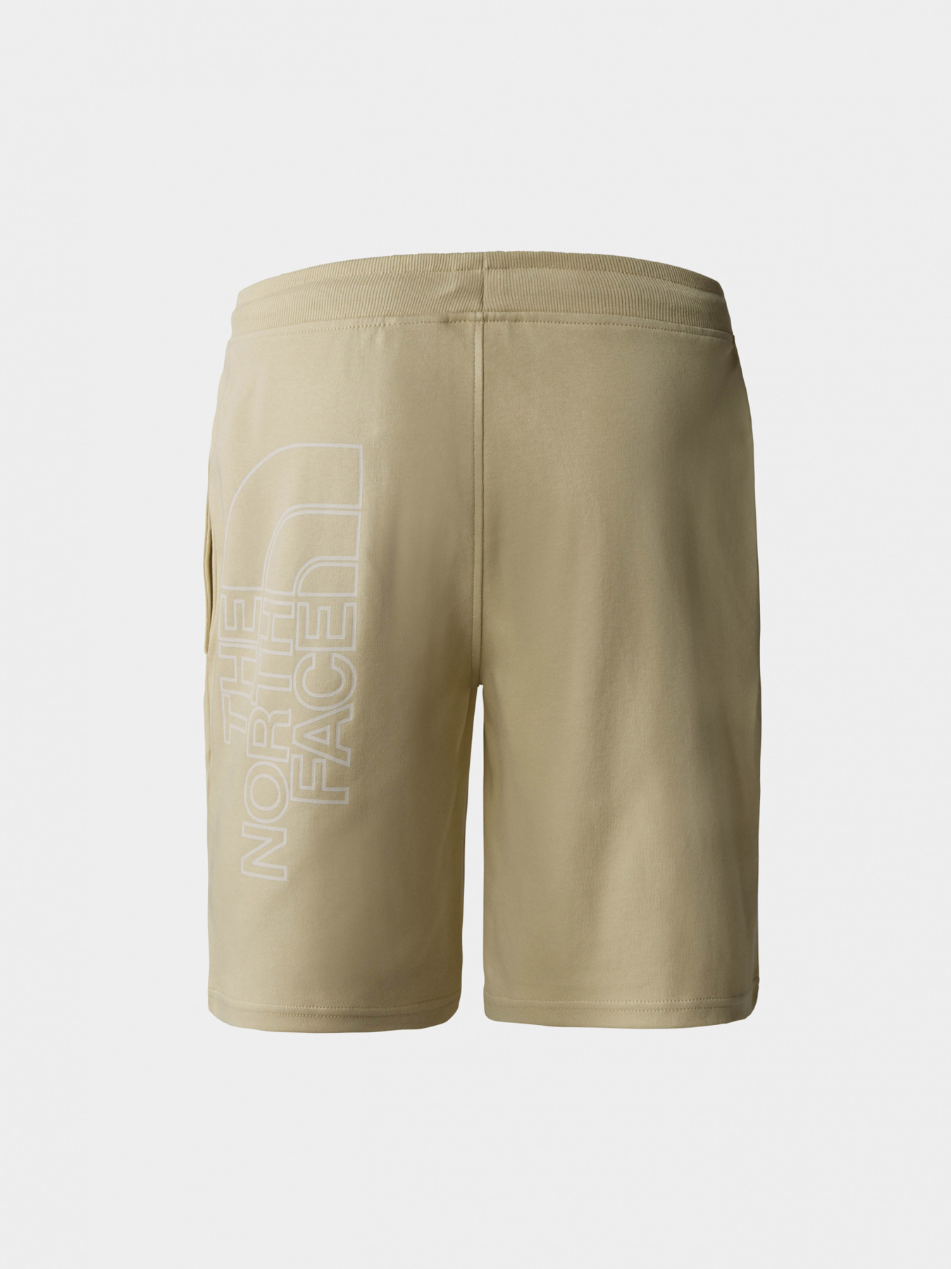Шорты The North Face модель NF0A3S4F3X41 Фото