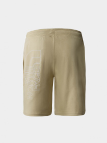 Шорты The North Face модель NF0A3S4F3X41 Фото