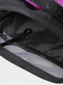 Сумки The North Face модель NF0A52RWYV31 Фото