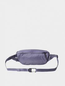 Сумки The North Face модель NF0A52TJLK31 Фото