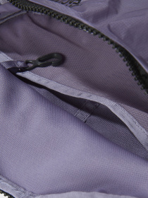 Сумки The North Face модель NF0A52TJLK31 Фото
