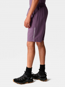 Шорты The North Face модель NF0A7SXFN141 Фото