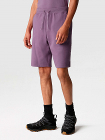 Шорты The North Face модель NF0A7SXFN141 Фото