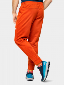 Брюки The North Face модель NF0A7UJMN891 Фото