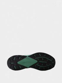 Кроссовки The North Face модель NF0A7W5SIHJ1 Фото