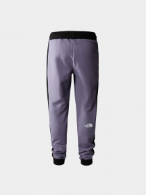 Брюки The North Face модель NF0A7X1ZN141 Фото