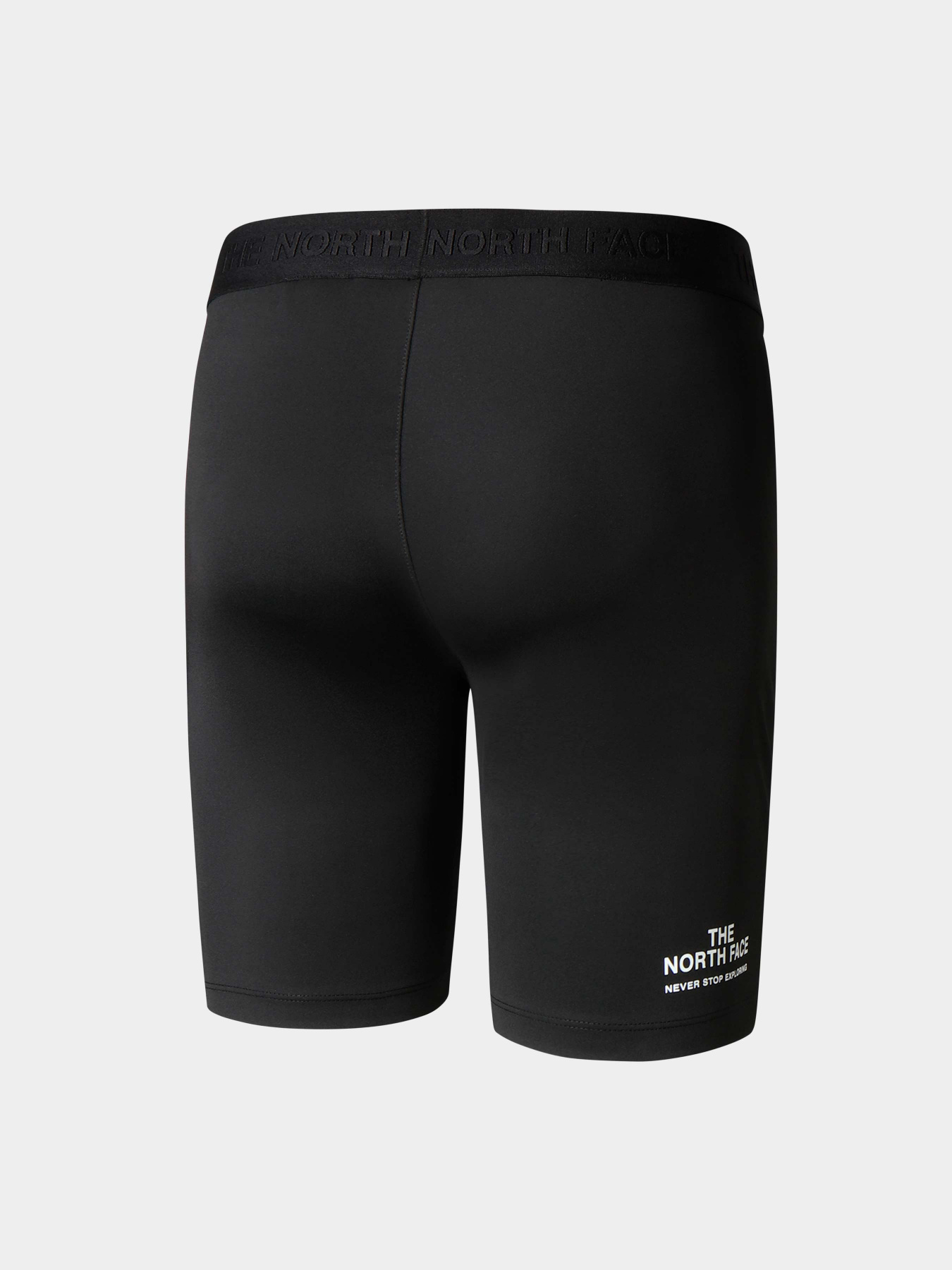 Шорты The North Face модель NF0A7ZB4JK31 Фото