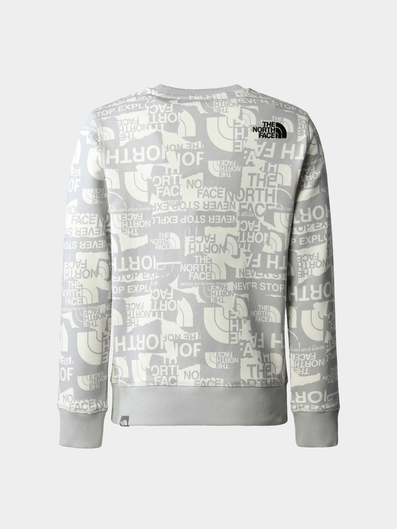Худи и свитшоты The North Face модель NF0A82EHIWD1 Фото