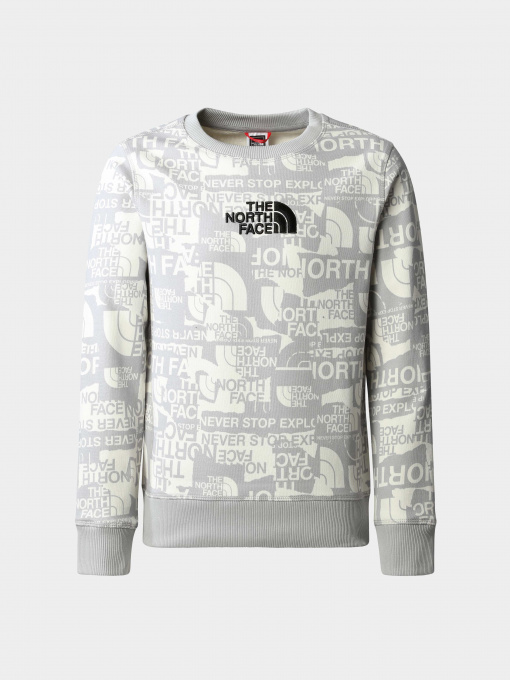 Худи и свитшоты The North Face модель NF0A82EHIWD1 Фото