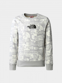 Худи и свитшоты The North Face модель NF0A82EHIWD1 Фото