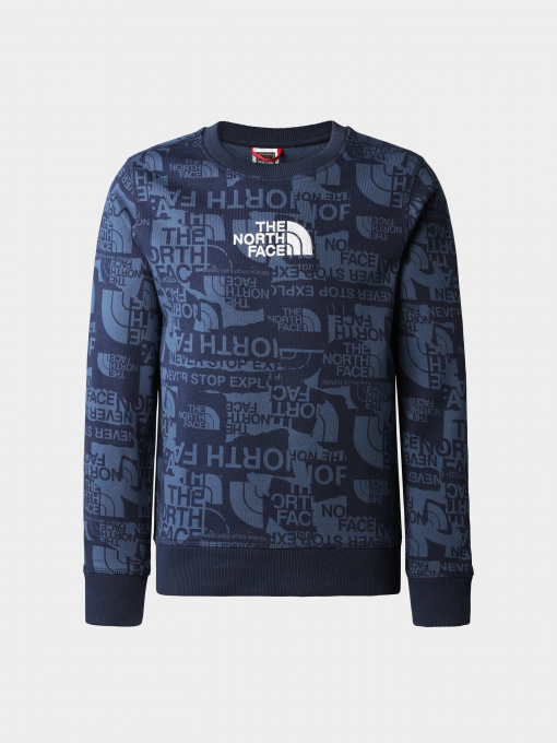 Худи и свитшоты The North Face модель NF0A82EHIWU1 Фото
