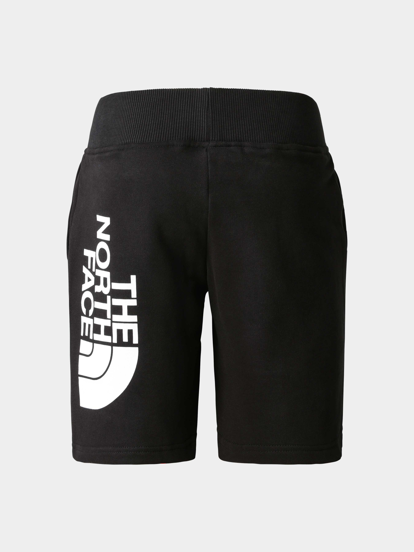 Шорты The North Face модель NF0A82ELJK31 Фото