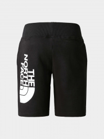Шорты The North Face модель NF0A82ELJK31 Фото