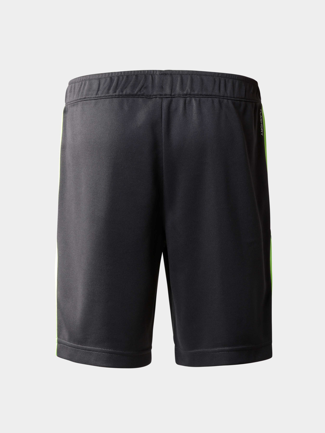 Шорты The North Face модель NF0A82T30C51 Фото