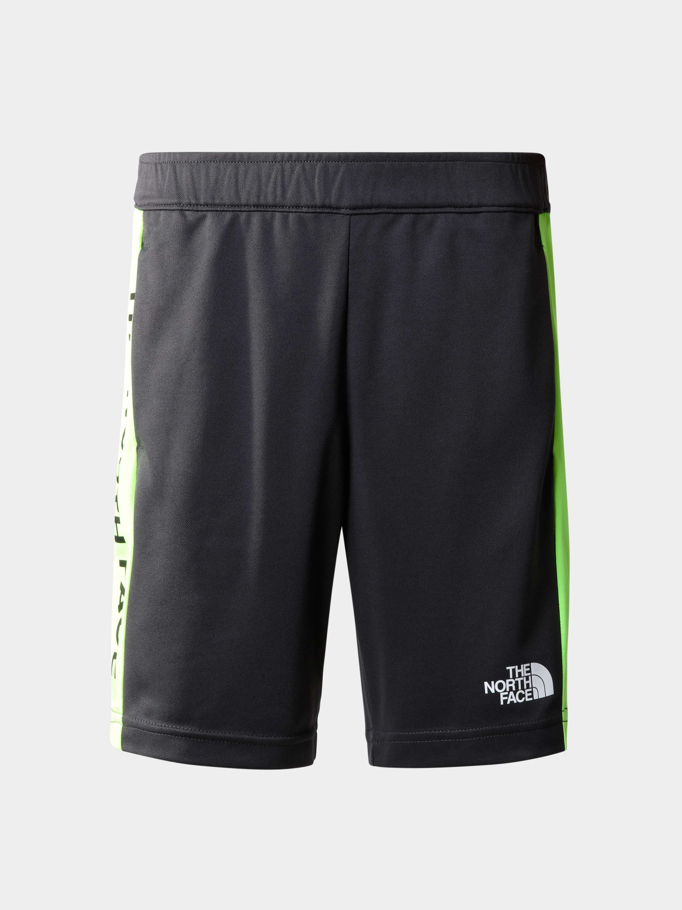 Шорты The North Face модель NF0A82T30C51 Фото