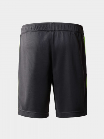 Шорты The North Face модель NF0A82T30C51 Фото