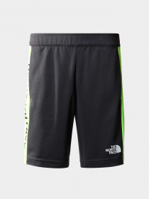 Шорты The North Face модель NF0A82T30C51 Фото