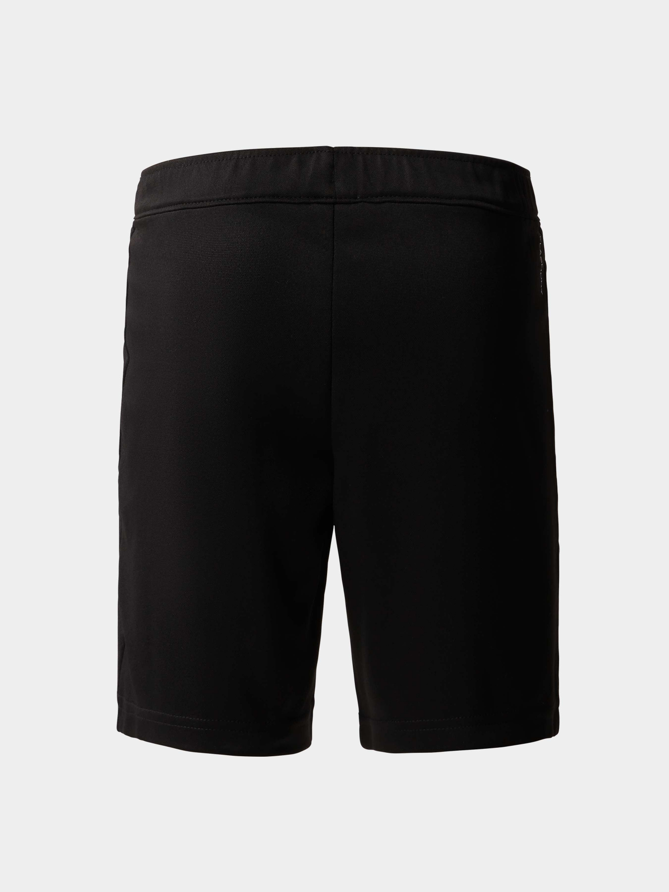 Шорты The North Face модель NF0A82T3JK31 Фото