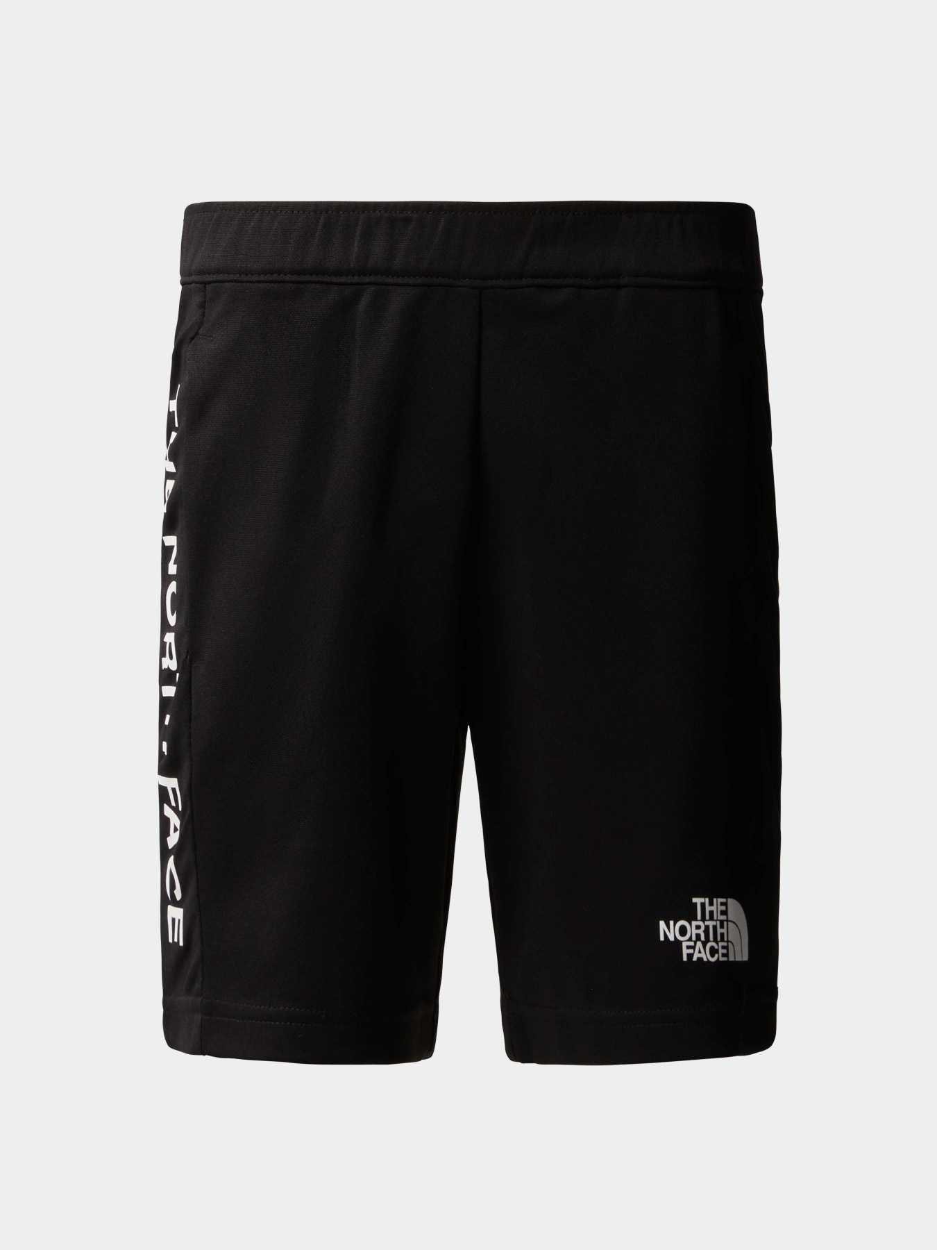 Шорты The North Face модель NF0A82T3JK31 Фото