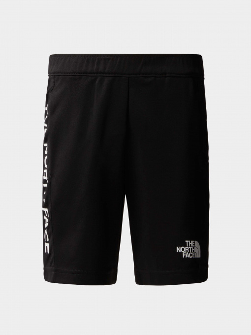 Шорты The North Face модель NF0A82T3JK31 Фото